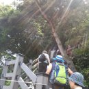 몽여해변 이미지