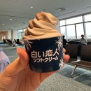 865 | 도쿄 하네다공항 면세점 털기 / ANA항공 NH865 탑승 후기