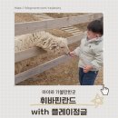 아이와 함께 자연 속에서 놀아요! 휘바핀란드 with 플레이정글 🐏
