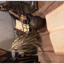 김주필의원 이미지