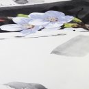 생명의소리Ⅱ 이미지