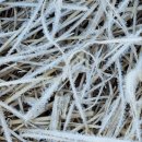 경주, 경북천년숲정원에 가다 / 지은주(고대 농학80) 이미지