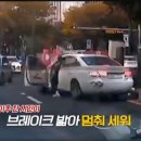 주식회사골든농업회사법인 네이버블로그