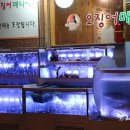 매니아수족관 이미지