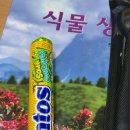 멘토스병원 | 자기 자신이 되는 것이 가장 중요한 일