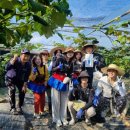 내촌면행정복지센터 이미지