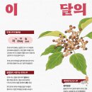 8월 이미지