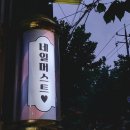 네일머스트