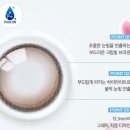 아름다운안경콘택트 칠곡점 | 오렌즈 글로이티어 브라운 추천 구매, 착용 후기