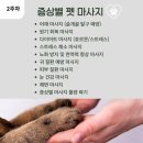펫아카데미경남학원 네이버블로그