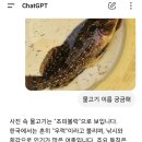 여남낚시