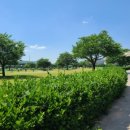 밀양파크골프장 이미지