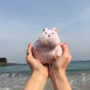 청두곶8길 13-9 | 센과 치히로 뮤지컬 공연 후기🐹🐉(예술의 전당 1층 B블록 15열 시야)