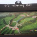 부일리경로당 Daum카페