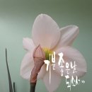 행복한하루 이미지