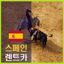 오렌지렌트카 이미지