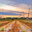 평수농장 이미지