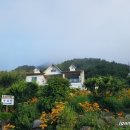 들꽃피는 아침풍경 이미지