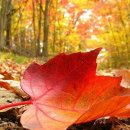 래플즈동물병원 이미지