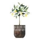 산북초등학교 후문 이미지