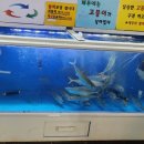 천가주막