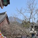 백학시장 | 가야 할 방향이 명확해지자 필요 없거나 쓸모없는 것들을 자연스레 버리게 되었다(03.17.~03.23.)