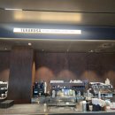 카페베리 앞 도로 | 테라로사 서울역점 베리블라썸 후기 봄 시즌 한정 음료