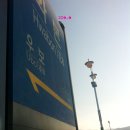 씽씽쏭쏭 이미지