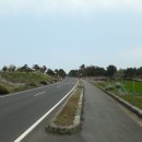 IUCN 나눔의 숲 이미지