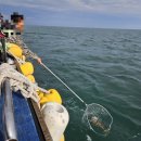 히트피싱민박 | 11월 무창포 껀모호 광어 우럭 다운샷 출조 후기 우럭5짜 나온 후기