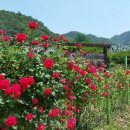산막골농장 이미지