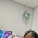 태권인 태권도장 이미지