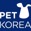 덴탈메트릭스 이미지