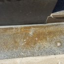 글로벌광택 이미지