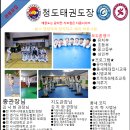 여주 청도 태권도장 이미지