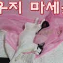 낮잠 잘 때는 깨우지 마세요 Don't wake me up when I take a nap 이미지