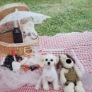 멍멍나래 애견미용 이미지