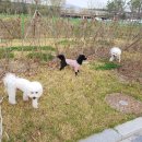 강남우리온누리약국 이미지