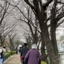 산책하는요양원 이미지