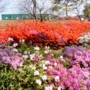 샘터 스크린골프 이미지