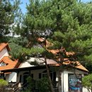 영월가자 펜션&캠핑장 이미지