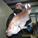 불루민박 이미지