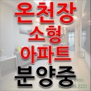 온천장 소형아파트 신화하니엘 착한가격 이미지