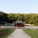 황산야채