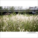 천변로 L 이미지