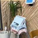 시흥센트럴돔그랑트리캐슬 | 시흥 은계호수공원 맛집 초밥광 초밥 정식 안키모롤 회덮밥 후기