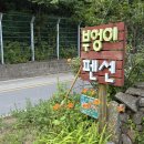 단양 부엉이펜션 호두방 후기, 계곡과 바비큐를 모두 즐긴 여름 펜션