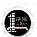 브리스(BRIS) | 브리스 전자담배 &amp; 델퀴드 액상 사용후기