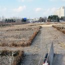 동산과 무궁화테마파크 일원 정전작업 후 나무 가지 정리 이미지