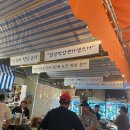 노랑오징어 이미지